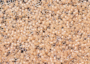 Бисер Япония MIYUKI Delica цилиндрический 11/0 5г DB-0067 плоть радужный с цветной линией